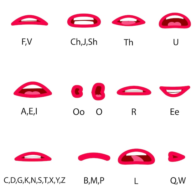 Vector conjunto de caracteres lipsync lipsync referencia de la boca establezca las disposiciones de la boca al pronunciar los diferentes sonidos
