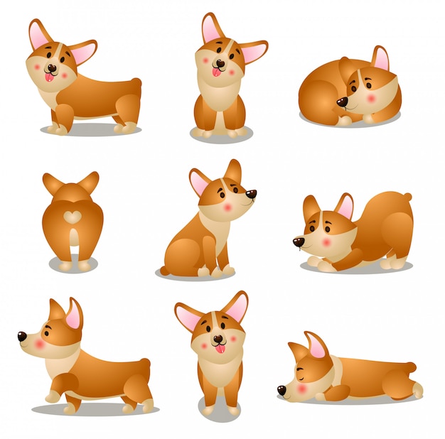 Conjunto de caracteres de perro corgi en diferentes situaciones diarias