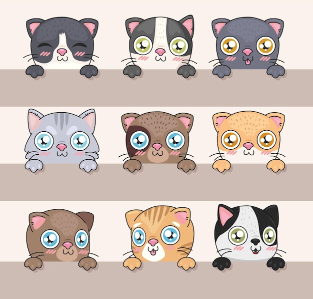 Conjunto de caras de gatos