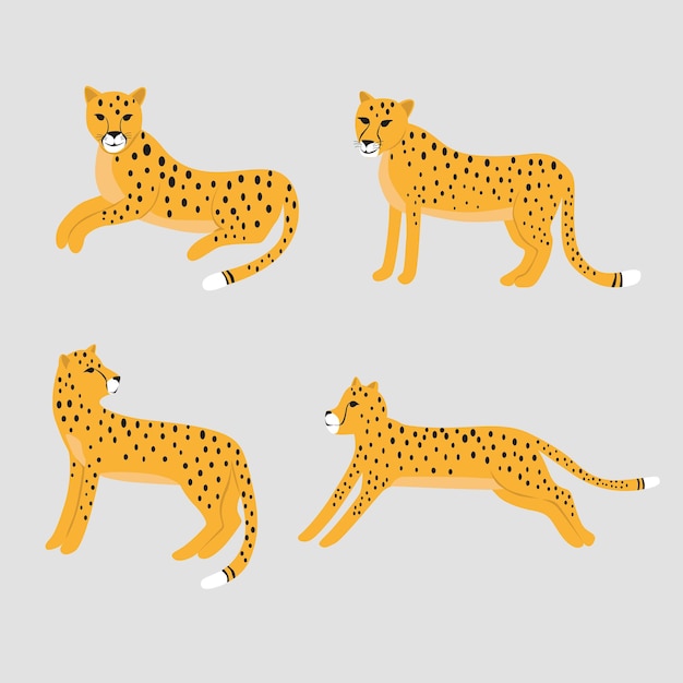 Conjunto, de, caricatura, leopardo, vector, ilustración