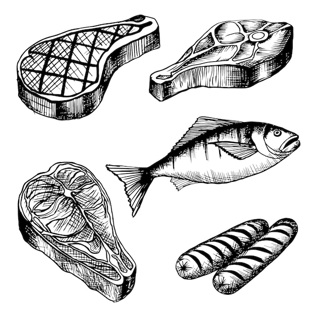 conjunto de carne salchicha pescado filete boceto dibujo a mano ilustración