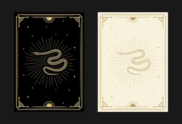 Conjunto de cartas de tarot místicas símbolos de doodle alquímicos grabado de estrellas cráneo serpientes y cristales