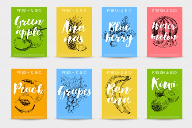 Conjunto de carteles de frutas boceto dibujado a mano.
