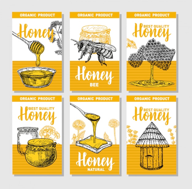 Conjunto de carteles de miel dibujados a mano. Boceto de estilo vintage. Colección de 6 plantillas de tarjetas lindas con ilustraciones dibujadas a mano. Plantilla de diseño de tarjetas. Fondo retro