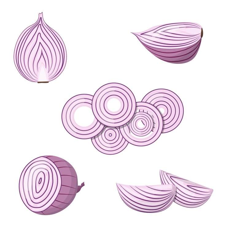 Vector un conjunto de cebollas rojas cebolla cortada por la mitad y rebanadas anillos de cebolla ilustración vectorial aislada