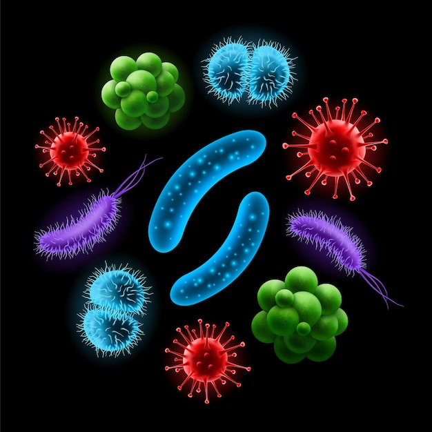 Vector conjunto de células de bacterias probióticas y virus realistas.
