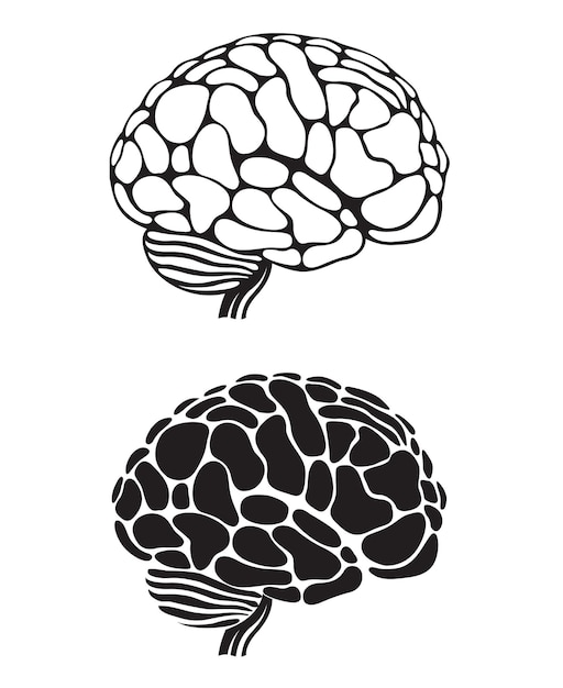 conjunto de cerebros humanos monocromáticos