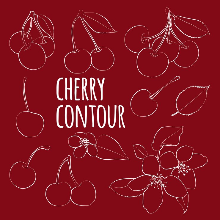 Conjunto de cerezas con hojas y flores con contorno lineal sólo sin relleno gráficos vectoriales