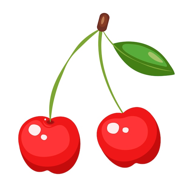 Conjunto de cerezas rojas frescas vector con hojas aisladas sobre un fondo blanco