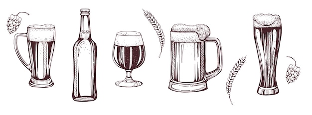 Vector conjunto de cerveza grabado aislado sobre fondo blanco dibujo a mano alzada en estilo vintage