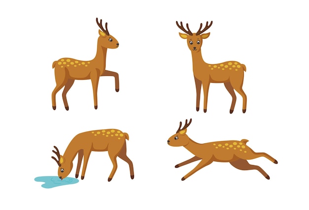 Conjunto de ciervos para patrones y diseños Ilustración vectorial