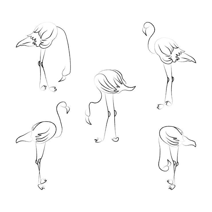 Vector conjunto, de, cinco, aislado, flamencos, vector, handdrawn, elementos