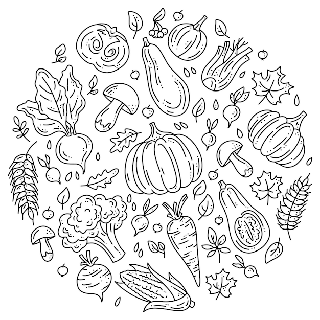 Conjunto circular de iconos de verduras para la cosecha de otoño