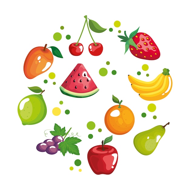 Conjunto de círculo de frutas, ilustración de tema de alimentos orgánicos saludables