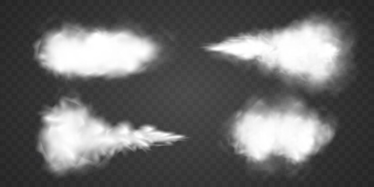 Vector un conjunto de círculos blancos y negros realistas con las palabras pavo real en la parte inferior