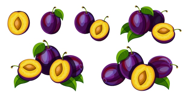 Conjunto de ciruelas púrpuras frescas al estilo de dibujos animados Ilustración vectorial de sabrosas frutas enteras y cortadas de tamaños grandes y pequeños con hojas verdes aisladas sobre fondo blanco