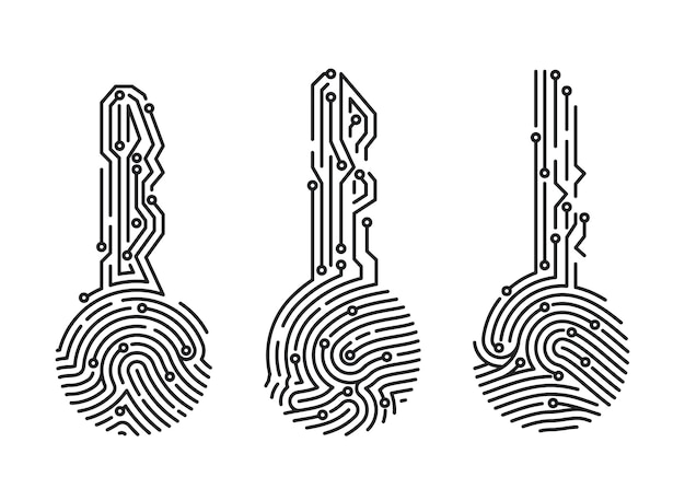 Vector conjunto de clave de huellas dactilares. verificación del usuario del sistema de seguridad. identificación biométrica para el inicio de sesión del software. ilustración vectorial