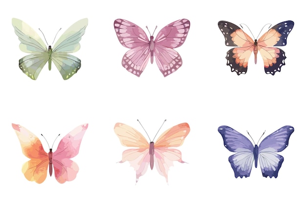 Vector conjunto de clipart de mariposas de acuarela vectorial en un fondo transparente mariposa png