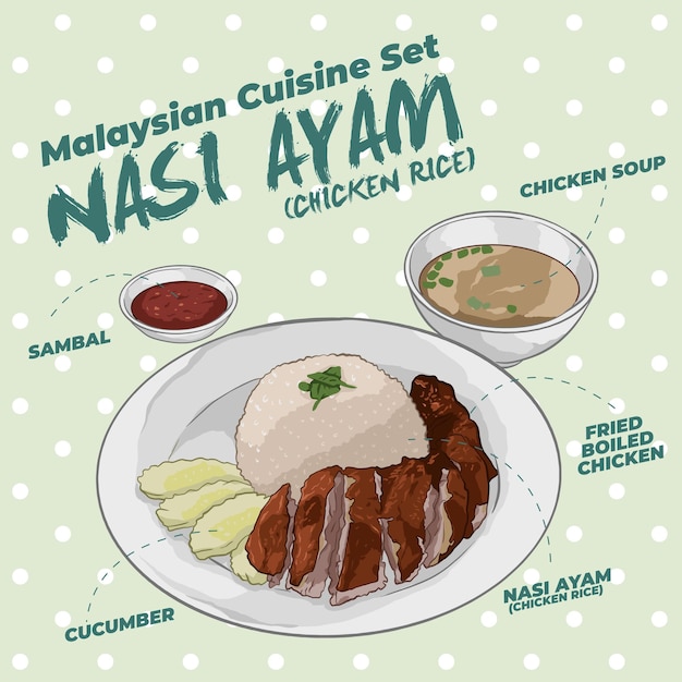 El conjunto de cocina de Malasia Nasi Ayam