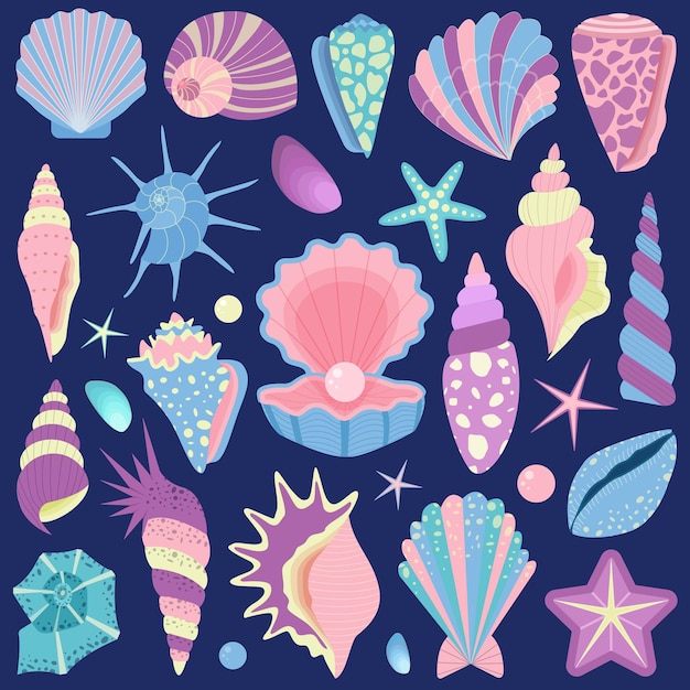 Conjunto de colección de conchas marinas y estrellas de mar