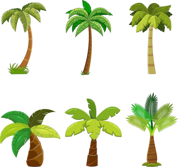 Vector conjunto de colección dibujado a mano de vector de palmera tropical diferente de dibujos animados aislado sobre fondo blanco