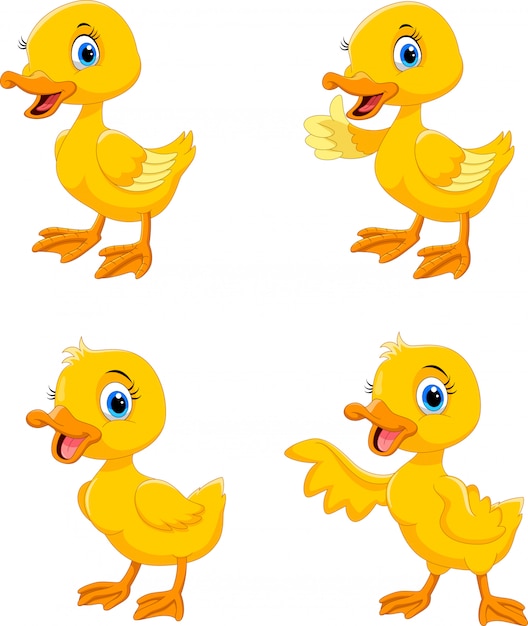 Conjunto de colección de dibujos animados pato feliz