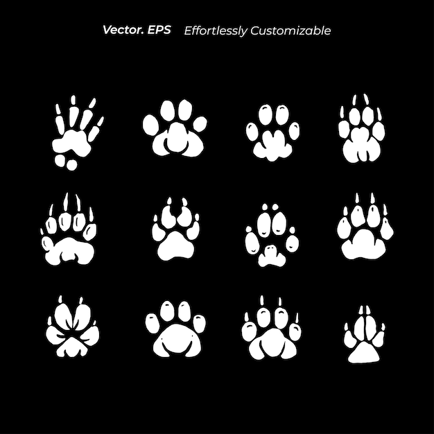Conjunto de colección Diseño de animales de pata dibujado a mano gato perro oso león zorro guepardo ilustración vectorial