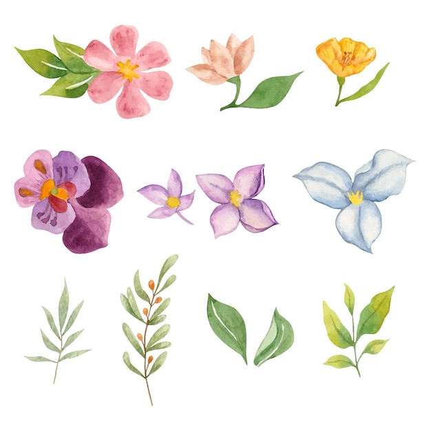 Conjunto de colección de flores y hojas para decoración botánica