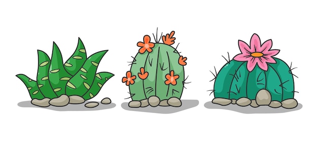Vector conjunto de colección gráfico vectorial de ilustración de cactus o cactus sobre fondo blanco