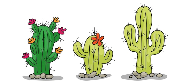 Vector conjunto de colección gráfico vectorial de ilustración de cactus o cactus sobre fondo blanco