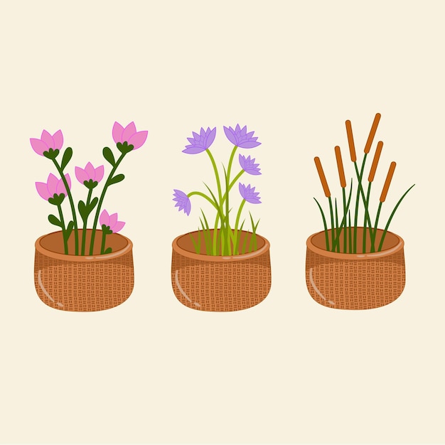 Conjunto de colección hermosas flores en maceta étnica.