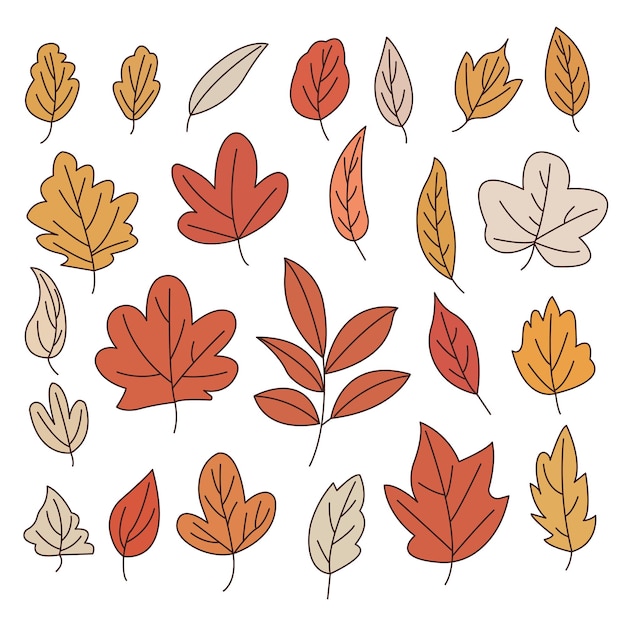 Conjunto de colección de hojas de otoño coloridas dibujadas a mano estilo plano de dibujos animados simples ilustración vectorial