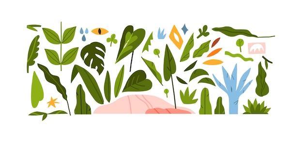 Conjunto de colección de ilustraciones de imágenes prediseñadas gráficas abstractas vectoriales dibujadas a mano de composición con formas abstractas de la naturaleza boho de flores de flores y hojas tropicalesDiseño moderno de la naturalezaJardín botánico