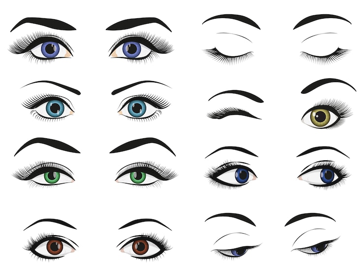 Vector conjunto de colección de imágenes de mujer mujer ojos y cejas.