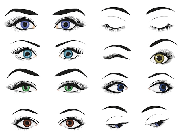 Conjunto de colección de imágenes de ojos y cejas de mujer femenina.