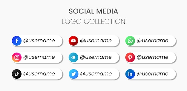Vector conjunto de colección de logotipos de redes sociales facebook instagram twitter pinterest snapchat