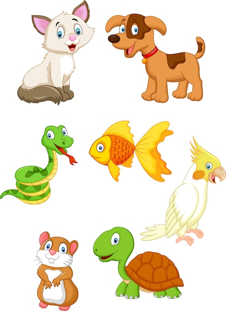 Conjunto de colección de mascotas de dibujos animados
