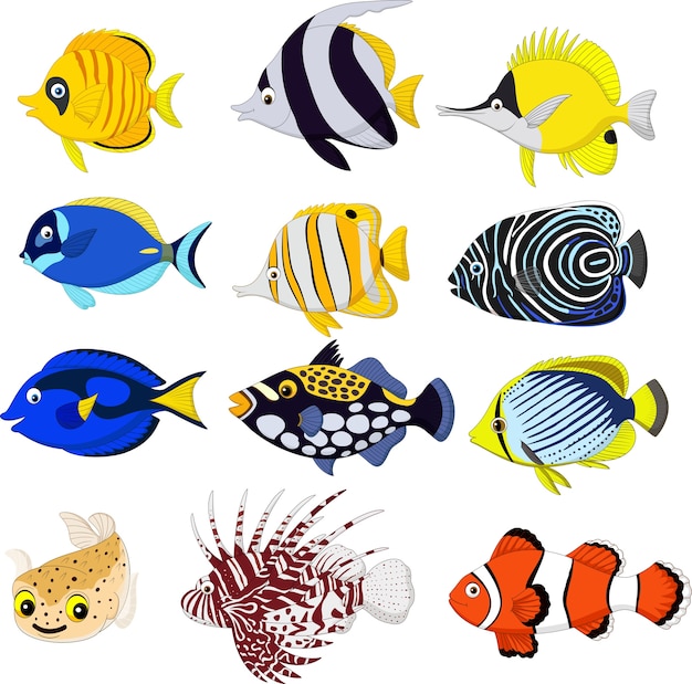 Vector conjunto de colección de peces tropicales de dibujos animados