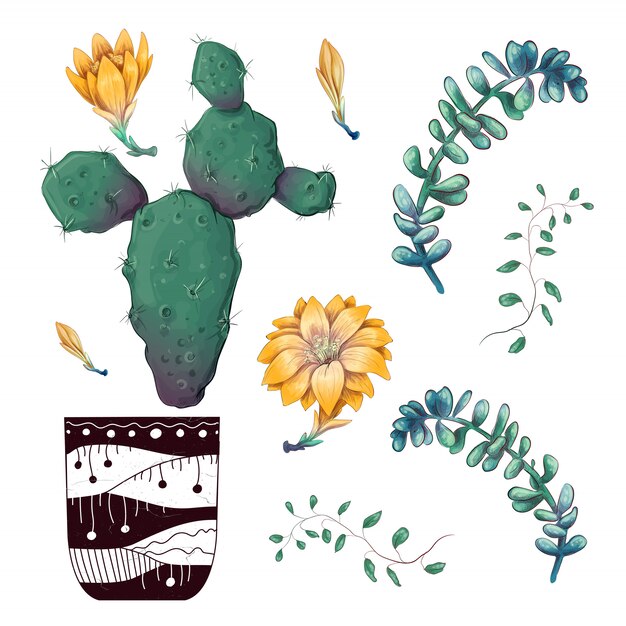 Vector conjunto de colección de placas de plantas de cactus y suculentas en maceta.