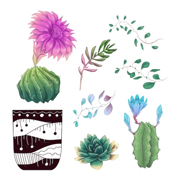 Vector conjunto de colección de placas de plantas de cactus y suculentas en maceta.