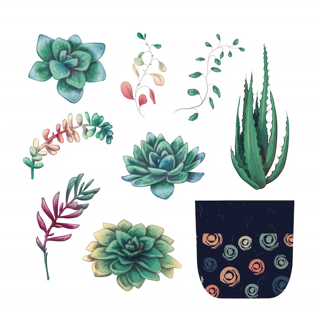 Conjunto de colección de placas de plantas de cactus y suculentas en maceta.
