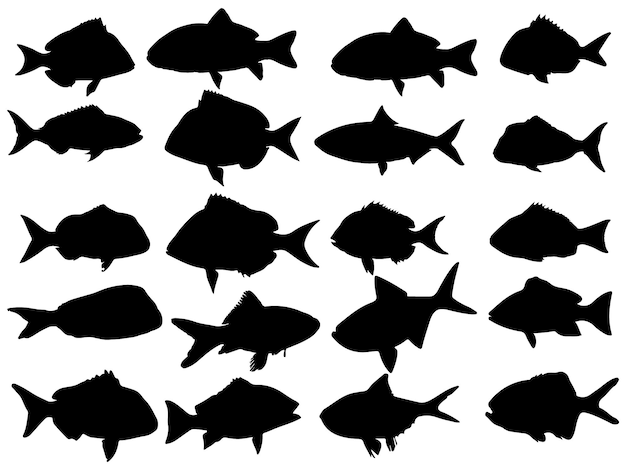Vector el conjunto de la colección de siluetas de peces.