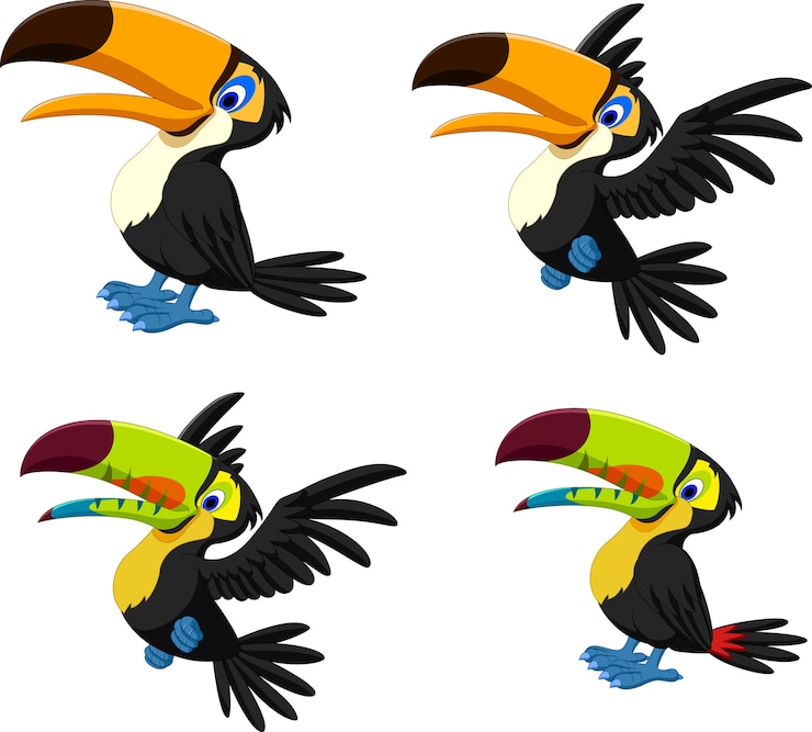Vector conjunto de colección de tucán de dibujos animados