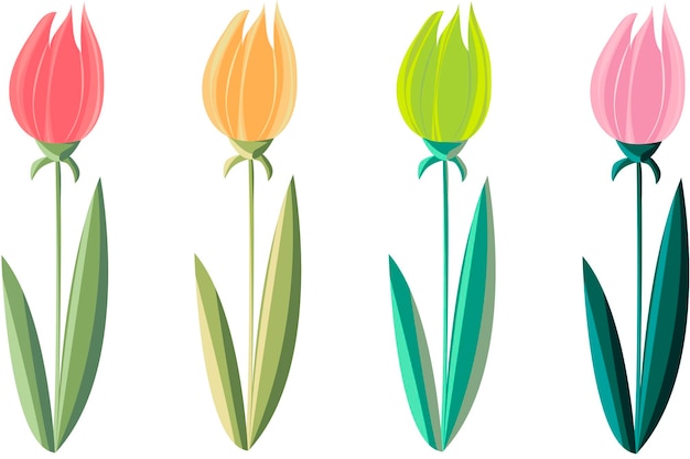 Vector conjunto de colección de tulipanes de flores de primavera de coloridos tulipanes aislado sobre fondo blanco.