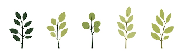 Conjunto de colecciones de árboles y hojas dibujadas a mano con elementos vectoriales de diseño plano conjunto botánico de árboles desnudos y con hojas y verde exuberante