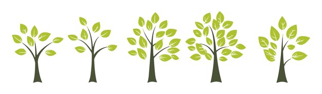 Conjunto de colecciones de árboles y hojas dibujadas a mano con elementos vectoriales de diseño plano conjunto botánico de árboles desnudos y con hojas y verde exuberante