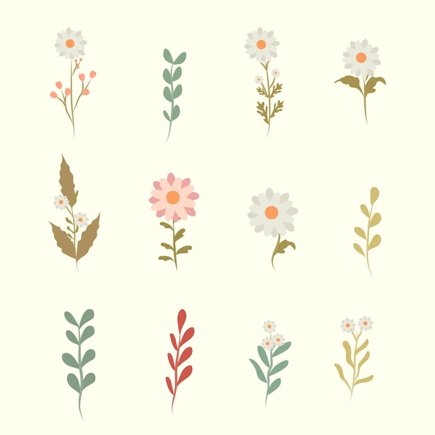 conjunto de colecciones de flores conjunto de vectores de flores