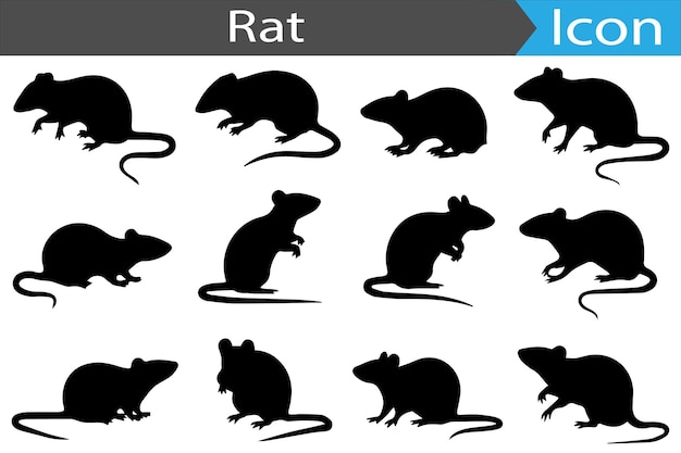 Un conjunto de colecciones de iconos de siluetas de ratas, colecciones de iconas planas, ilustraciones vectoriales