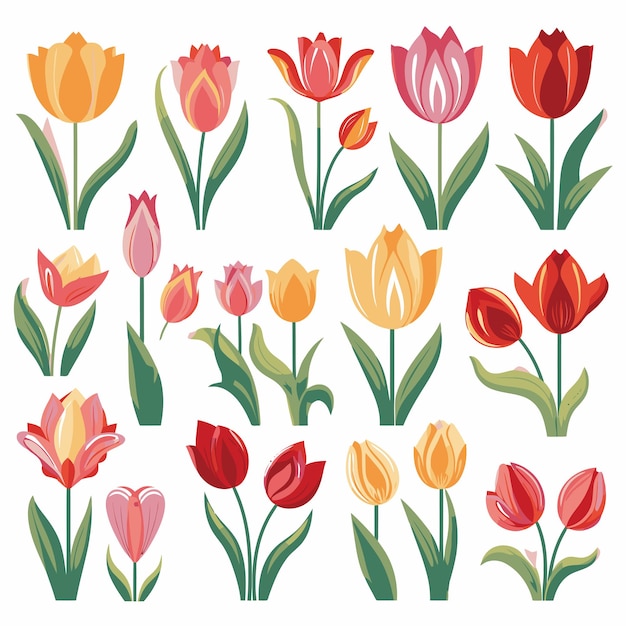 Vector conjunto de colecciones vectoriales de flores de tulipán