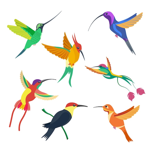 Conjunto de colibrí de pájaro pequeño ilustración vectorial aislada en un fondo blanco